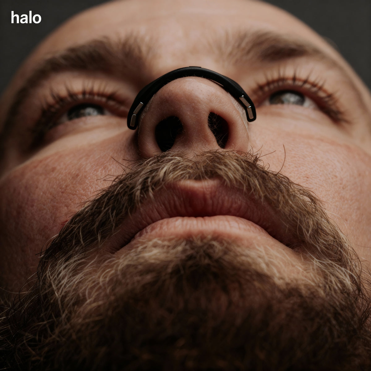 Halo